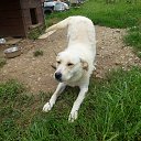 ���� Mech Ta, �����, 54 ���� - ��������� 25 ������� 2016 � ������ ���� ����������