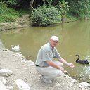 ���� ��������, �������-���������, 66 ��� - ��������� 10 ������� 2016