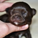 ���� ������, ��������, 66 ��� - ��������� 2 ����� 2017 � ������ ������ ��������