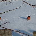 ������ �� �����....