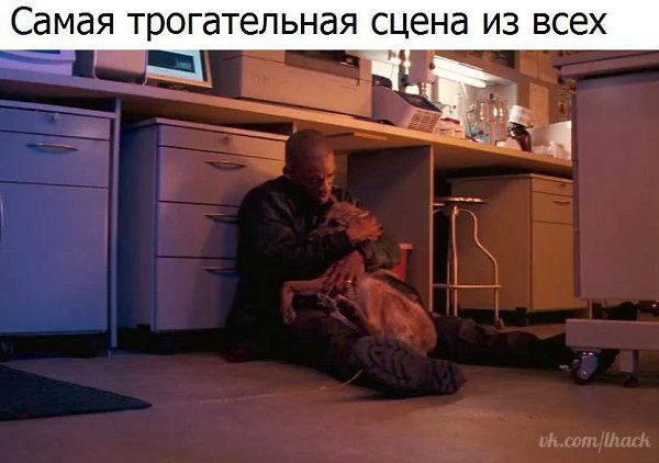 ����� �������� - 18 ����� 2017 � 05:34