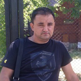 ���� �����, ������, 46 ��� - ��������� 31 ������� 2016