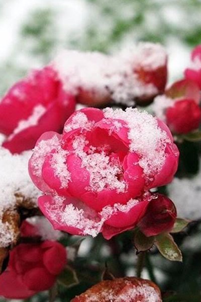 �������� �������! - 6 ������ 2016 � 20:10 - 5