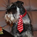 ���� �������, ������ - ��������� 13 ������� 2017 � ������ ���� ����������