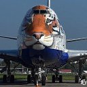 ���� ���������� �, �������, 62 ���� - ��������� 27 ������ 2017 � ������ �������