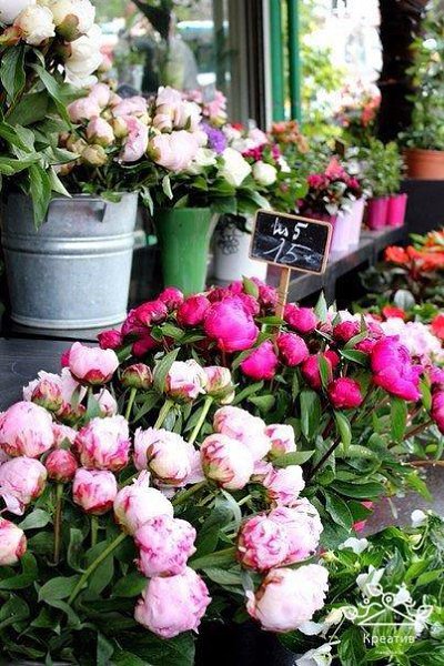 , ,  - 15  2016  08:20 - 3