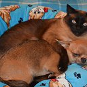 ��� ������!!)) �� ������� ������ ��������