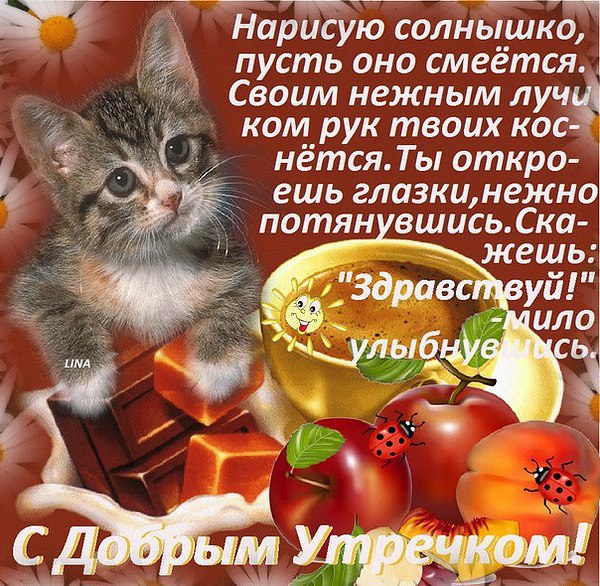 ��������� ��������� - 13 ������� 2016 � 08:16