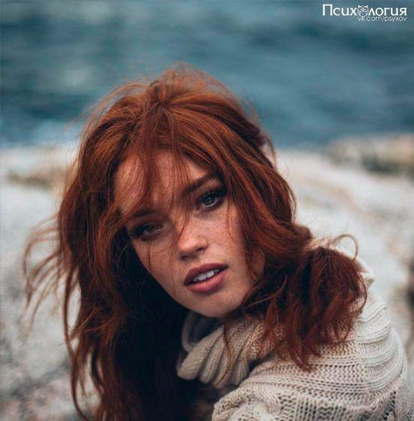  . .   ,     .     ...