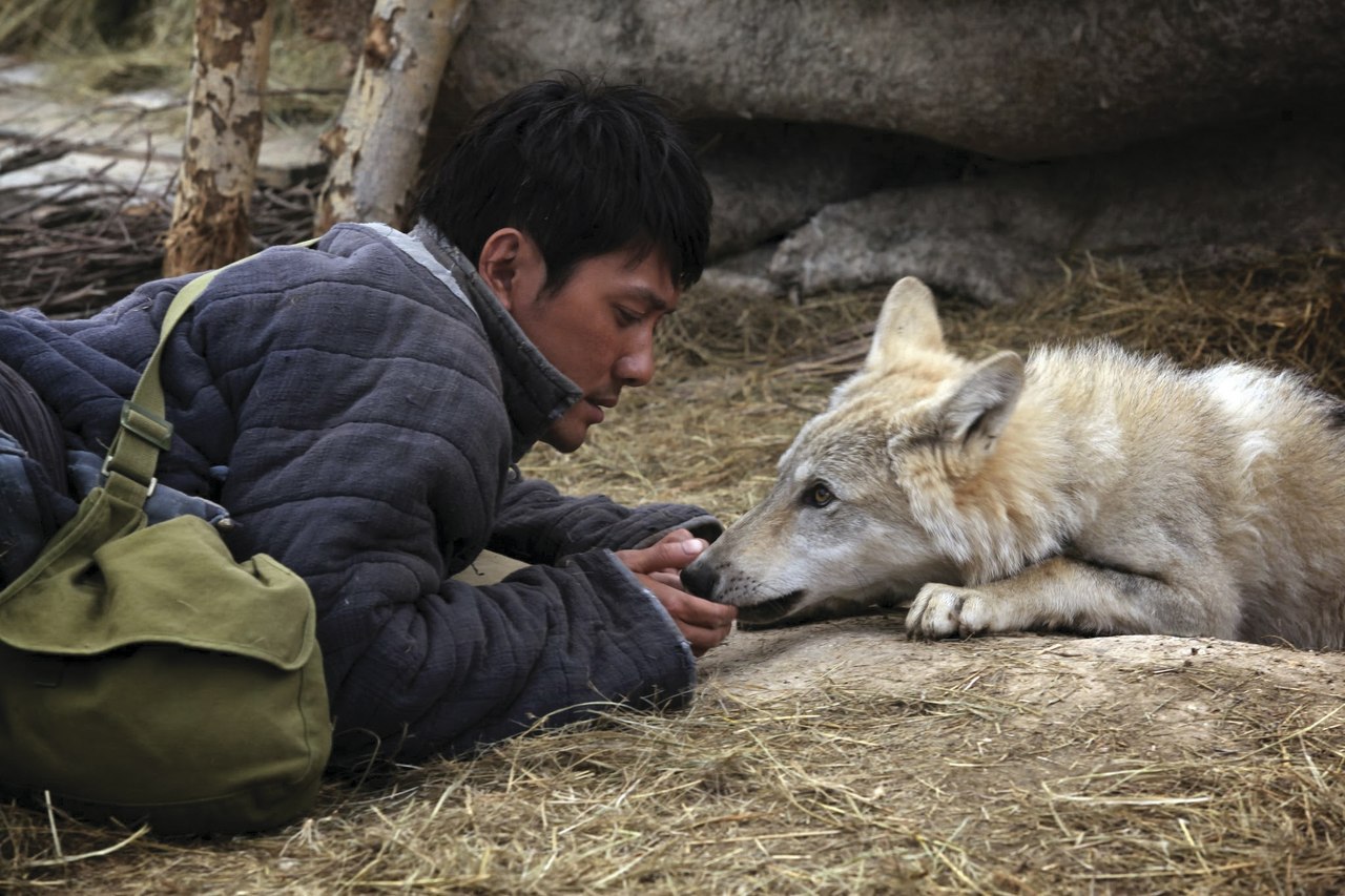   (2015).:   1967        ... - 2