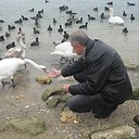 ���� ��������, �����������, 62 ���� - ��������� 27 �������� 2016