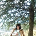 ���� ��������, �����, 49 ��� - ��������� 19 ����� 2017 � ������ ���� ����������