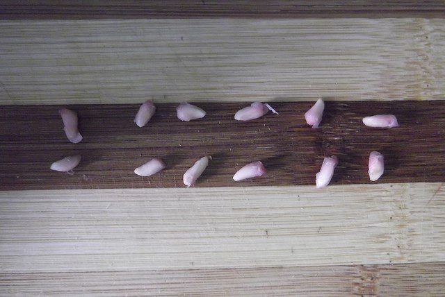 ���������� ������: ��� �������� � ��������� ������ � �������� ��������. ������ ���� �� ����� ... - 2