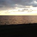  Badri, , 38  -  13  2016    