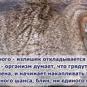 ���� ���������� �, �������, 62 ���� - ��������� 24 ������� 2017 � ������ ������� ��������