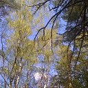 ���� ��������, ������, 71 ��� - ��������� 12 ������� 2016 � ������ �������...������� ������� � �����...� ����� ����� �������...�