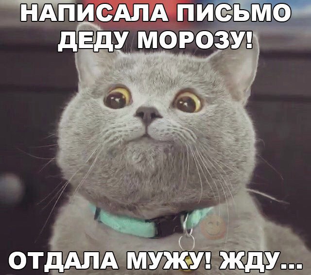    :D - 26  2016  00:07