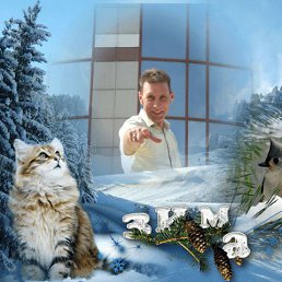 ������, ����������, 59 ���