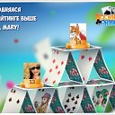 ���� �������, ��������, 54 ���� - ��������� 13 �������� 2016 � ������ �������� �������-�������