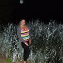 ���� ������, ������-���, 44 ���� - ��������� 15 ������� 2017 � ������ ���� ����������