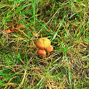 ���� �������, ��������, 47 ��� - ��������� 2 ������� 2016 � ������ ���� ����������