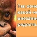 ���� �����, ������ - ��������� 2 ������� 2016 � ������ ������ ��������