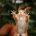 ���� ?Rjo, ������-����, 63 ���� - ��������� 20 ������� 2016 � ������ ���� ����������