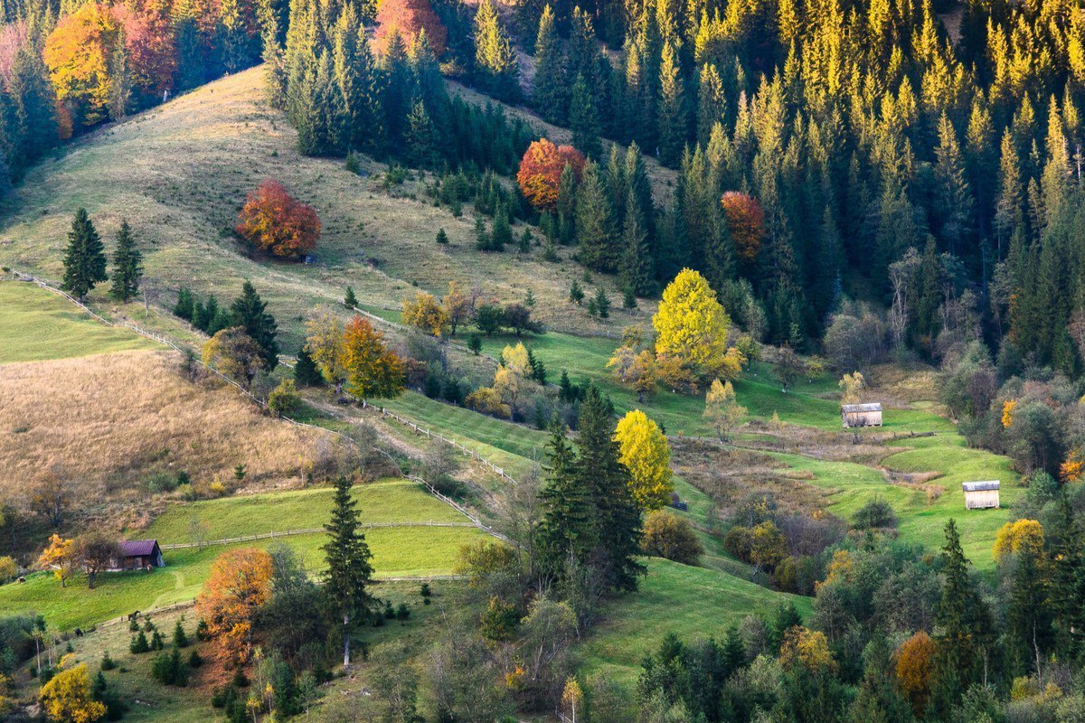 Карпаты Осенью Фото