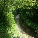 ���� ���������, ����������, 46 ��� - ��������� 20 ������� 2016 � ������ �������