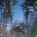 23 ������� 2017�. �� ������� ���� ����������