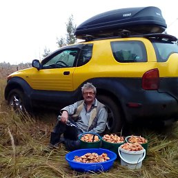 ������, ���������� �����, 50 ���