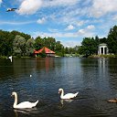 ���� Leonid, �����������, 60 ��� - ��������� 11 ������ 2016 � ������ ���� ����������