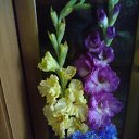 ���� Nadezhda, ������, 64 ���� - ��������� 22 ������ 2017 � ������ ���� ����������