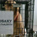 ���� �����, ������ - ��������� 31 ������� 2016 � ������ ���� ����������