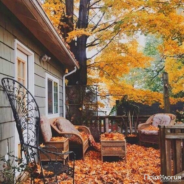   -   .     ?     ,   .