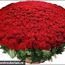 ���� �������, �������� - ��������� 6 ����� 2017 � ������ ���� ����������