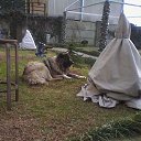 ���� ����, ������ - ��������� 29 ����� 2017 � ������ ���� ����������