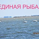 ���� ������, ���� - ��������� 27 ������ 2017 � ������ �������� ,������� ,�������� ....�