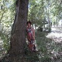 ���� ������, �����������, 54 ���� - ��������� 22 �������� 2016 � ������ ���� ����������