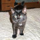 ���� ����, �������, 43 ���� - ��������� 23 ������� 2016 � ������ ���� ����������