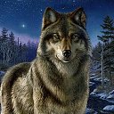 ���� Vopsea, ������, 45 ��� - ��������� 26 ������ 2017