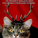 ���� Falia, ������ - ��������� 27 ������� 2016 � ������ ��������:)�