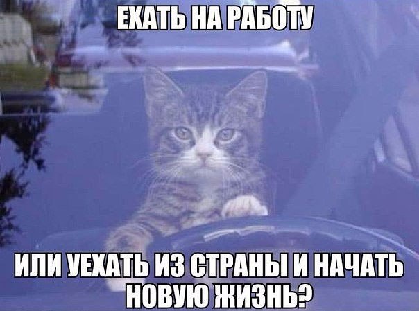 ��� ����� �������� ���� ������ ����.