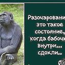 ���� �������, ����������, 53 ���� - ��������� 12 ������� 2016 � ������ ���� ����������