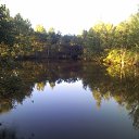 ���� �����., ������ - ��������� 17 ������� 2016 � ������ ������ ��������