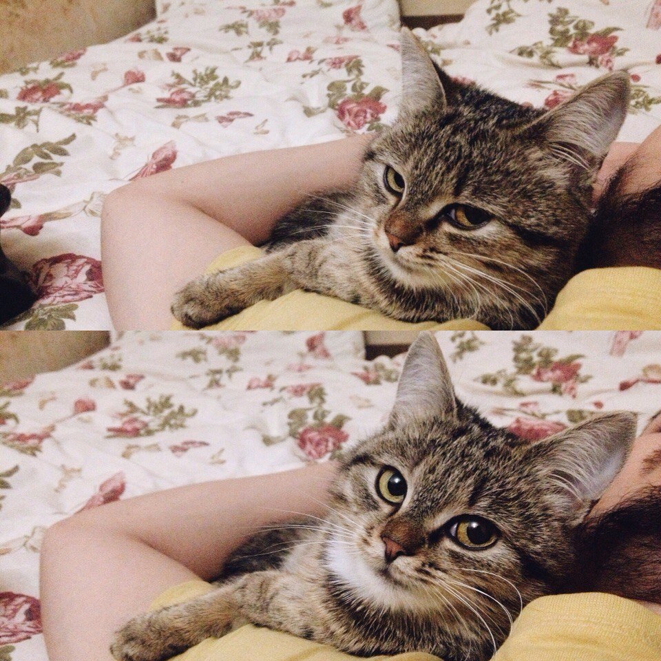 #_.  ,        ))    ... - 3
