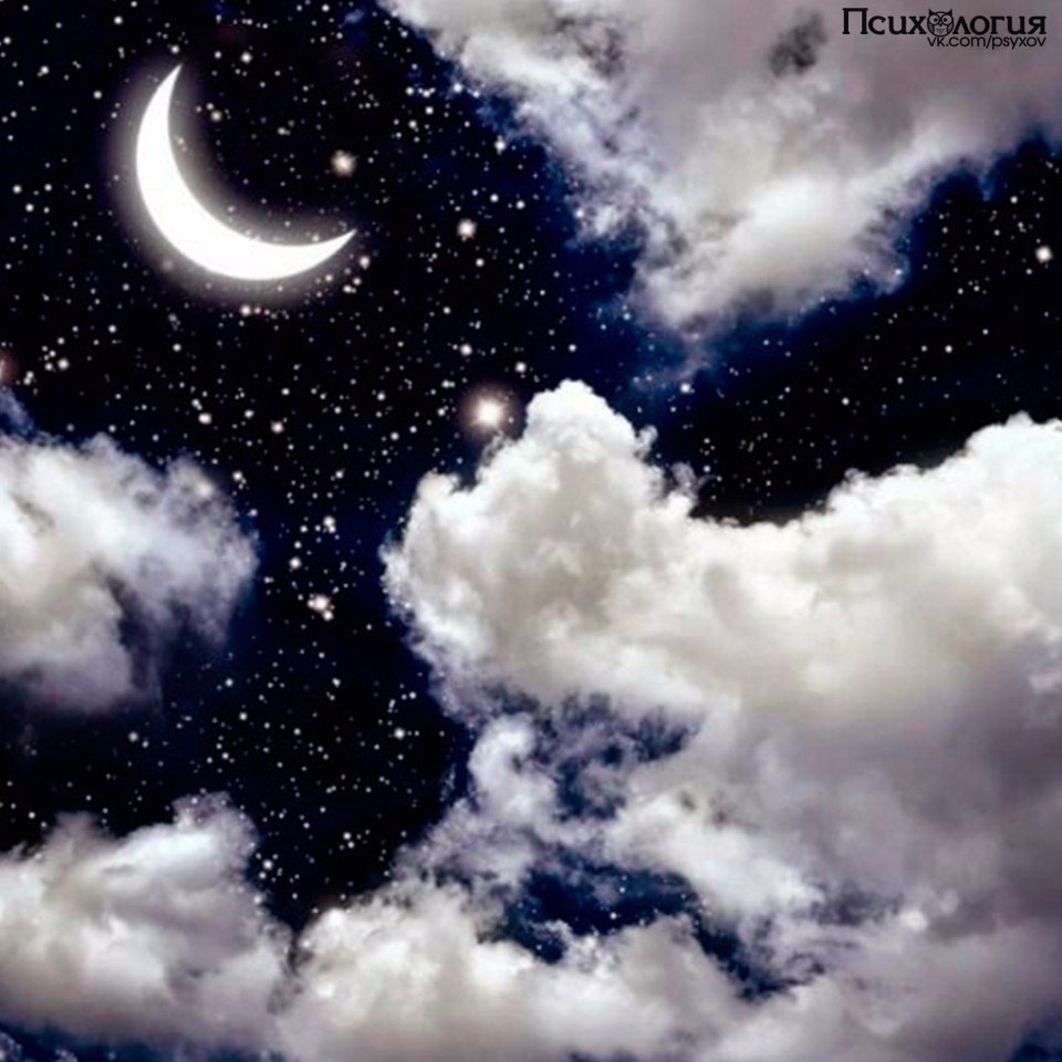  -   ,       .      .