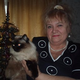 ����, ������, 79 ���