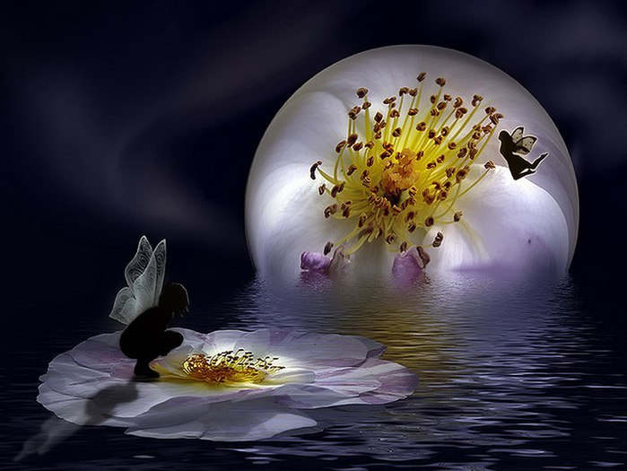 ))). Monuela Moya "Expecty" Monuela Moya "Expecty" ... - 19