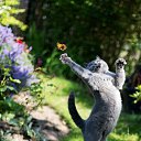 ���� ��������, ���������, 48 ��� - ��������� 1 ������ 2017 � ������ ���� ����������